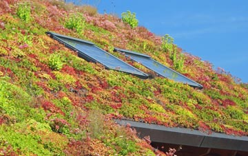 Balhalgardy living roof systems